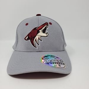 NHL Phoenix Coyotes Men's Zephyr Breakaway Cap